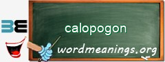 WordMeaning blackboard for calopogon